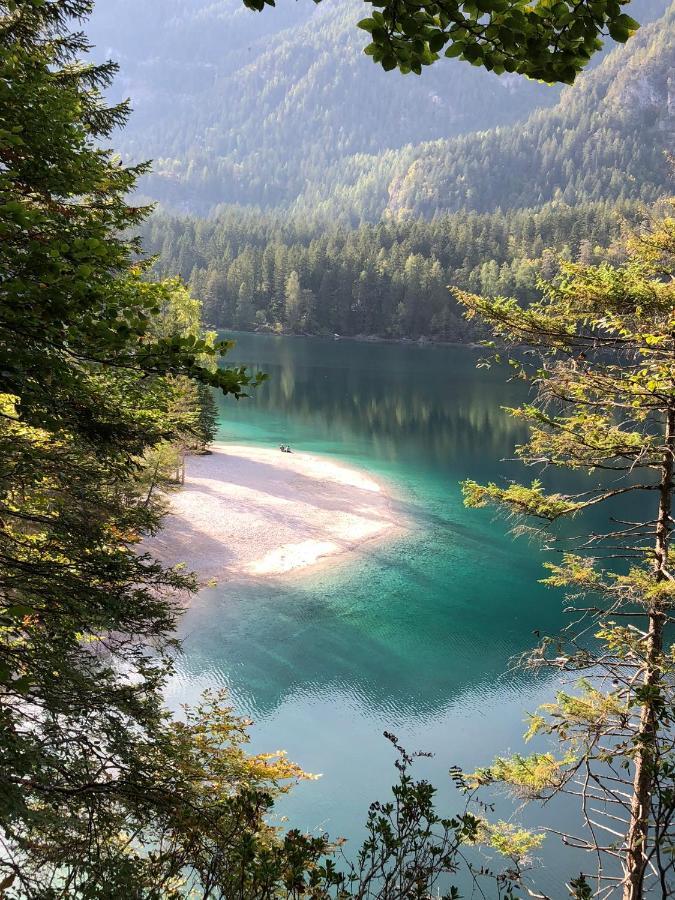 Chalet Tovel - Mountain Lake Tuenno Exterior foto