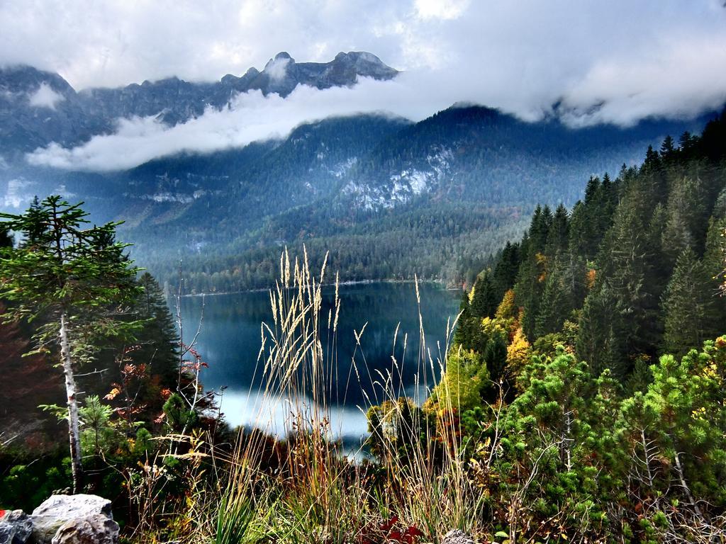 Chalet Tovel - Mountain Lake Tuenno Exterior foto